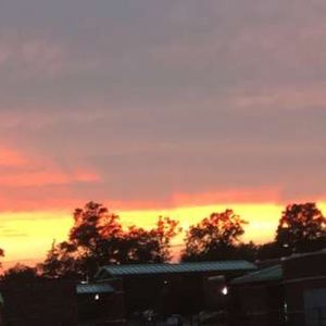 Meet your Posher, Ally